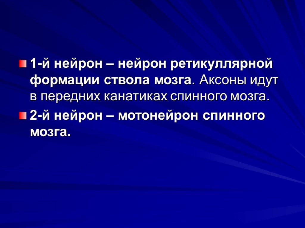 1-й нейрон – нейрон ретикуллярной формации ствола мозга. Аксоны идут в передних канатиках спинного